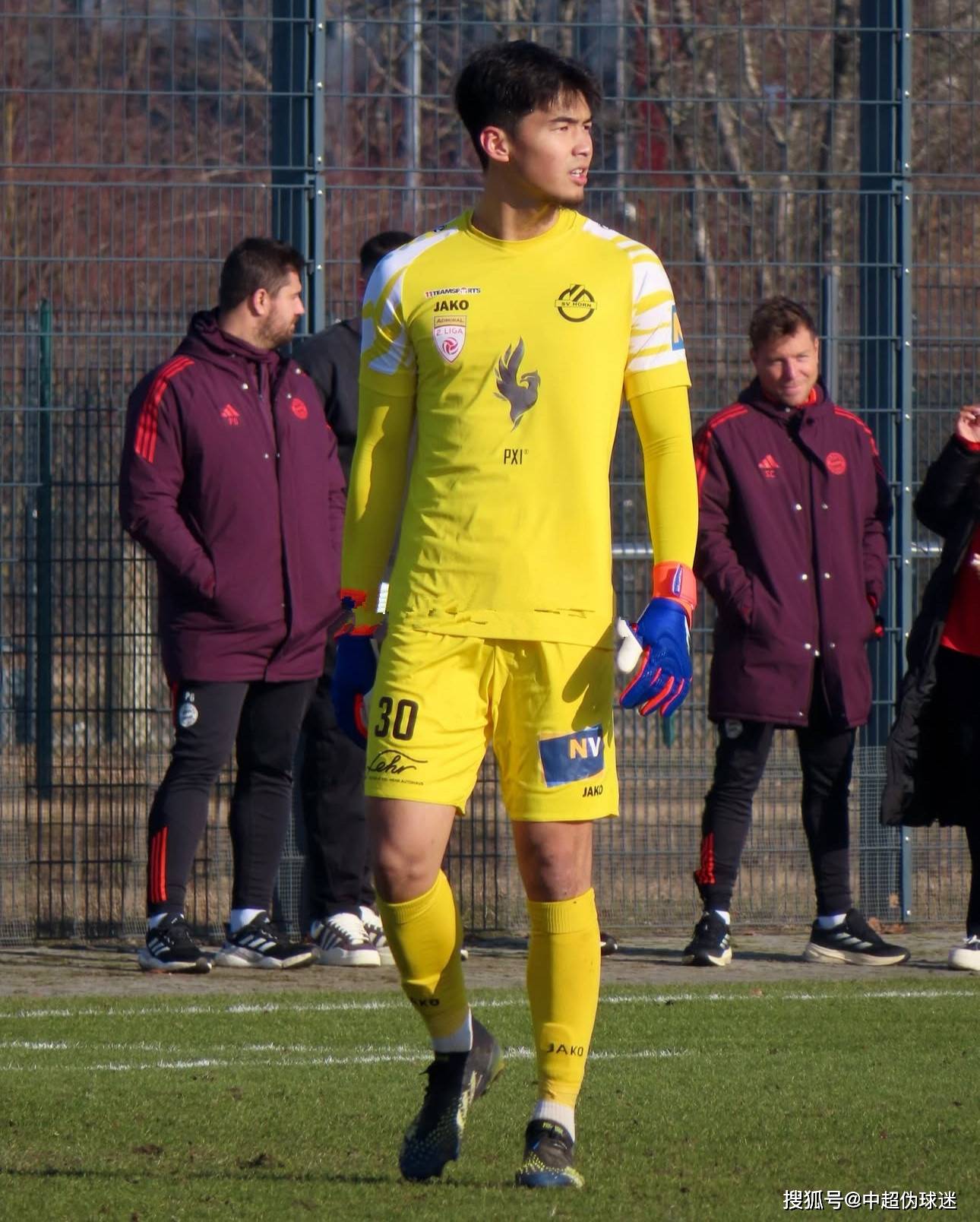 数据显示 数据显示