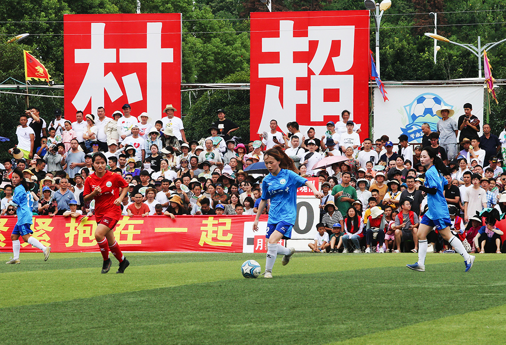 可忽视的力 可忽视的力